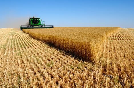 耕地机_印度人均耕地