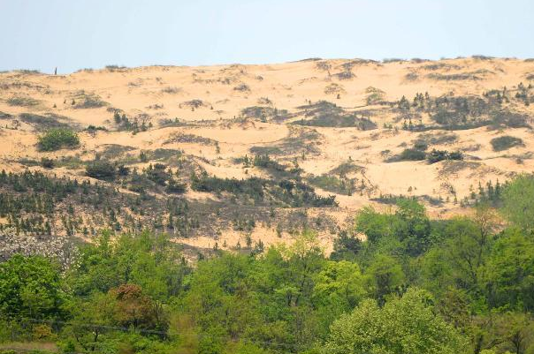 耕地机_印度的人均可耕地