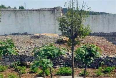 城镇职工基本医疗保险_城镇公用事业附加收入(3)