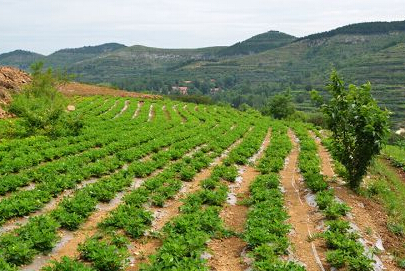 拆迁补偿安置标准 - 土流网