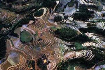 我国四川盆地为什么叫紫色盆地