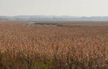 保护农民权益_农民土地权益保护_保护农民的