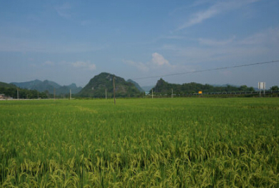 什么样的土地可以申请家庭农场 57722ee588193.jpg