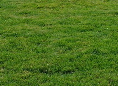 5795c50067021.jpg