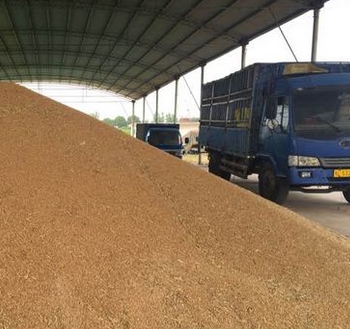 小麦收购价格_小麦最新价格多少钱一斤_新小