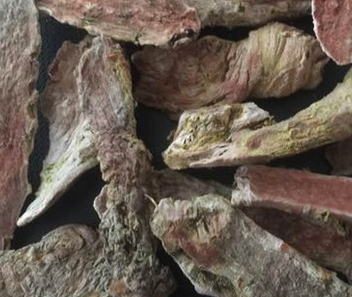 四川适合种什么药材 适合室内养的50种植物 种