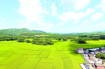 湖北国土人口_湖北国土资源职业学院