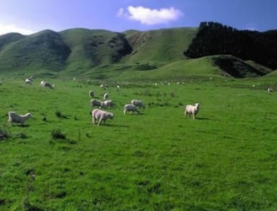 57abf16a9eaed.jpg