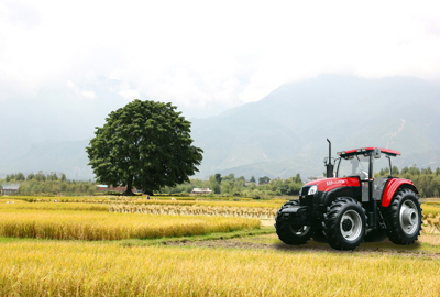 农民种地图片_种地收入(3)