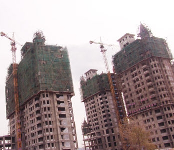 裤腰太低露黑毛蒋小涵_烟台大樱桃_烟台收入太低