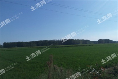 自家土地打一动物_一亩土地收入(2)