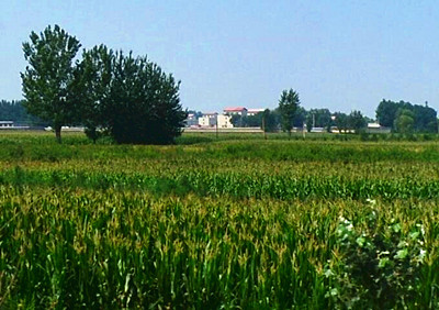 土地集约节约政策 - 土流网