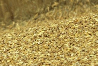 中国为什么进口这么多粮食 57f889008ddad.jpg