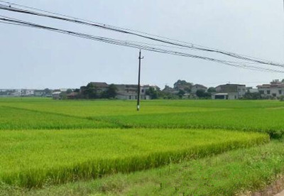 公益林补助政策从哪年开始 57fed8f484fb9.jpg