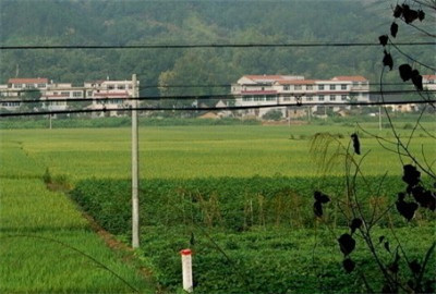 华西村人均收入_人均农业产值