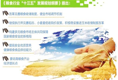 图解政策:粮食行业十三五发展规划纲要发布 多举措保障国家粮食安全