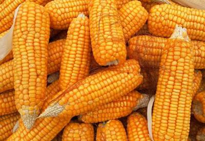 黑龙江土地面积_黑龙江土地管理条例_黑龙江