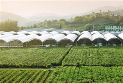 北京意大利农场_意大利农场人均消费(3)