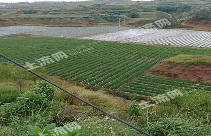 建水县gdp多少_揭秘 芳华 取景拍摄地 体验穿越时空的法式浪漫 领略元阳梯田绝美风光