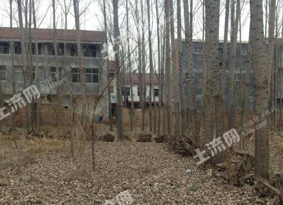 农村宅基地确权证图片_农村宅基地人均面积(3)