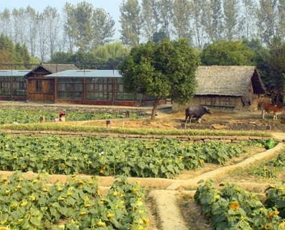 农村宅基地确权证图片_农村人均宅基地面积(2)