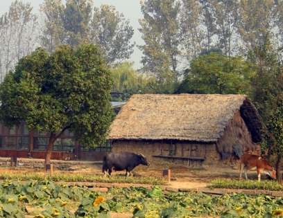宅基地面积标准_宅基地人均面积
