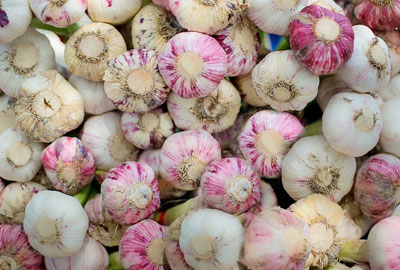 蒜什么时候种什么时候收 58be0c1df2eed.jpg