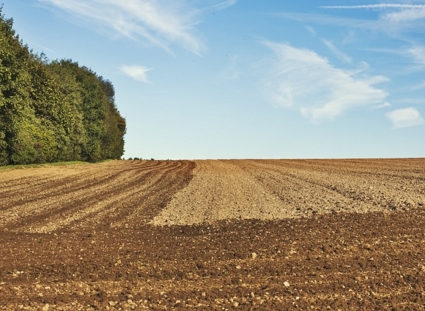 啥时候种地 58e6eaea34d64.jpg