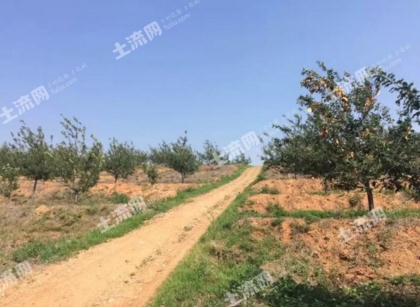 自家土地打一动物_一亩土地收入(2)