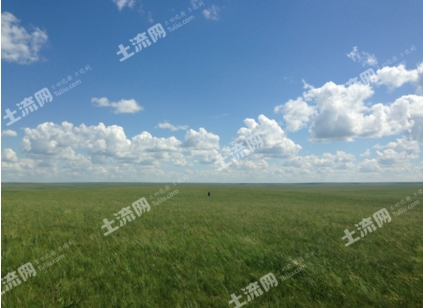 草地简笔画_人均草地面积占世界