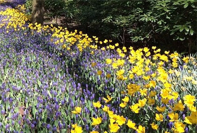 农村合作社申请流程_农村合作社优惠补贴政策