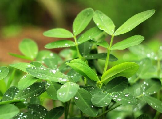 59150f809e6ac.jpg