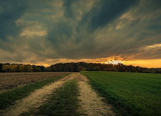 价格与需求量的关系图_人均粮食需求量(3)