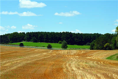 2019农业经济_2019年国家最新政策 这些农民有补贴,最高能领数万元