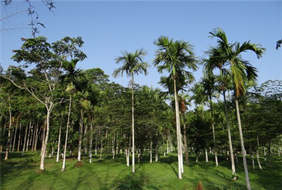 5983d2d0500ce.jpg
