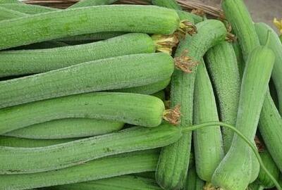 丝瓜的功效与作用 598d49ffcb29b.jpg