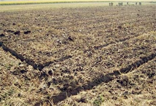 什么样的土地适合种植 599a49cb8e544.jpg