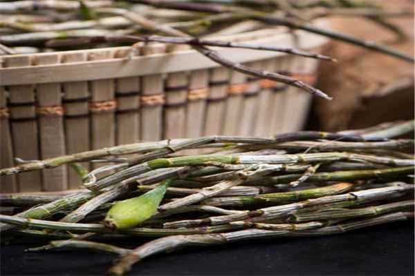 红一点的铁皮石斛 599cf40107f62.jpg