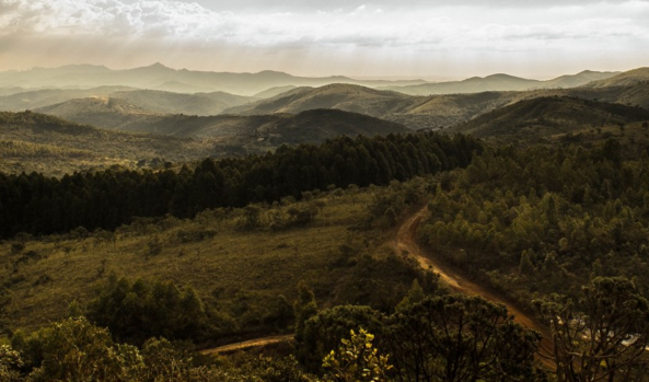 农村土地确权登记_发证_补助_实施方案 - 土流