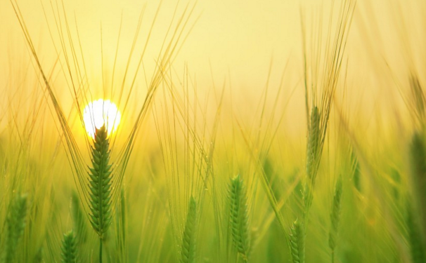 招商引资项目奖励政策_好处 - 土流网