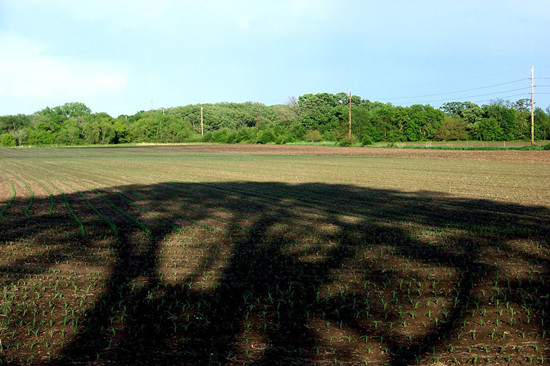 5a027d8216344.jpg