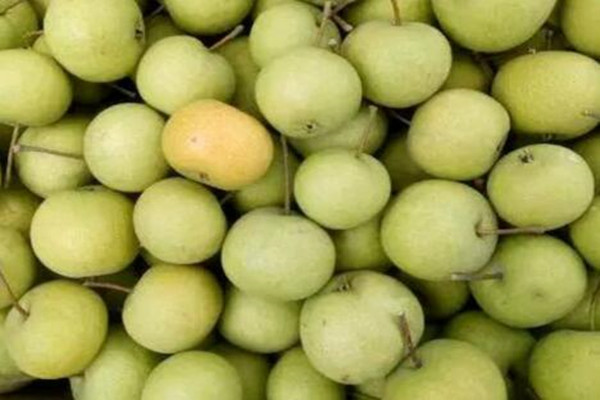 酸梨价格多少钱一斤?怎么吃?有哪些功效及作用?