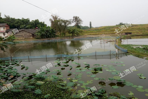 2007全国城镇居民人均可支配收入