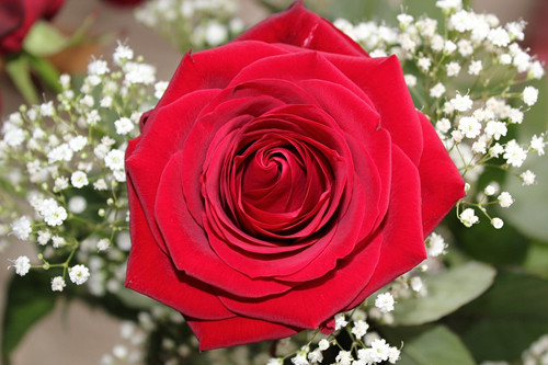 5a68216aafe7a.jpg