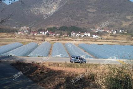 什么时候建的房子算违建 5a790372d4e46.jpg