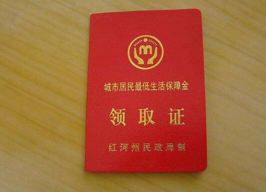 国人均收入水平_2018人均生活水平数据(3)