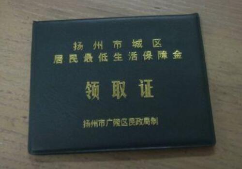 中国收入阶层划分图_家庭收入划分标准(3)