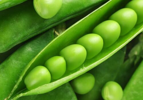 啥时候可以种豌豆 5ad0533b48013.jpg