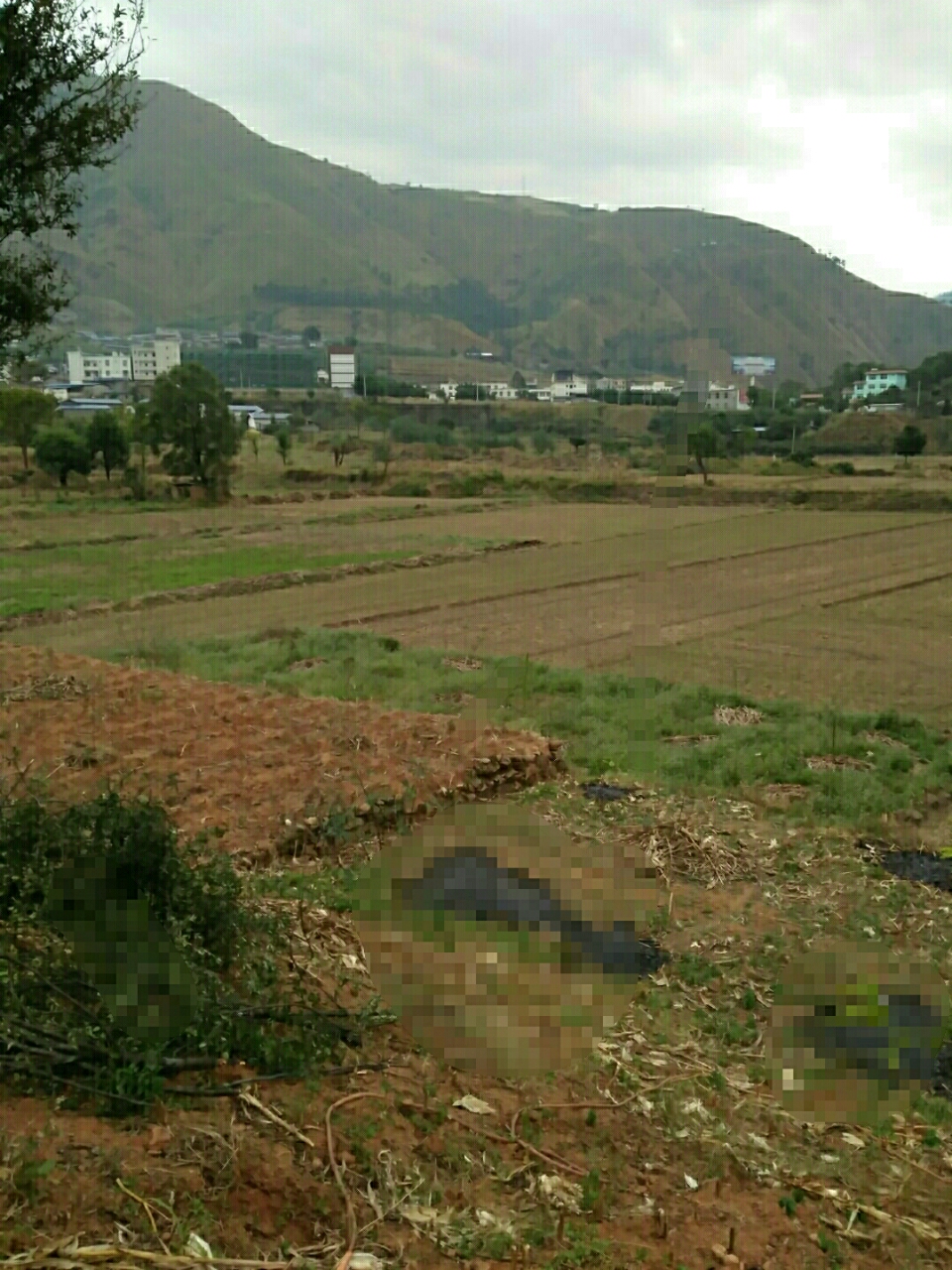 我是四川省凉山州盐源县金河乡温泉村村民.