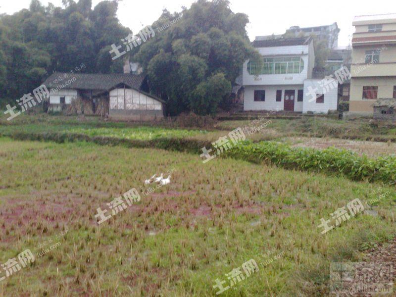 524085 次查看 收藏 分享 qq微博微信 土地价格 面议 土地地点 四川